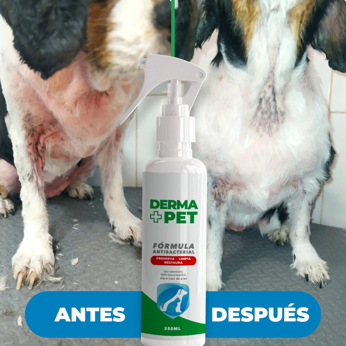 🐶🐱DermaPet™ Adiós Alergias+ Envio Gratis 🎁